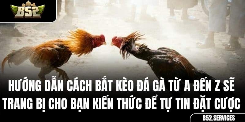 Hai chiến kê đang thi đấu quyết liệt trong một trận đá gà